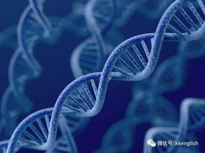 2018考研英语阅读重点预测 基因的作用 快来做题吧