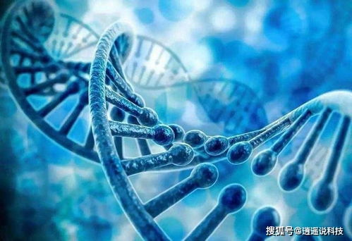 德国肉联厂现 超级传播者 ,传播距离最远可达8米