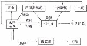 2.人类可以用发酵技术来生产的医药产品有a.酒精.柠檬酸.乳酸 b.抗生素.维生素c.酱制品.啤酒.醋 d.酸奶.饮料.蛋白质 青夏教育精英家教网