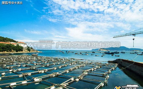 水产养殖智能监控系统的应用领域