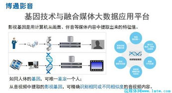 网络流媒体 博通影音史晶月 基于影视基因技术进行版权保护与增值并挖掘大数据价值