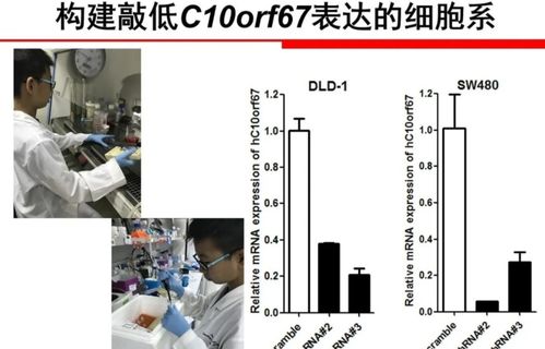 六年级小学生研究基因技术获得全国奖项,网友 博士研究生水平