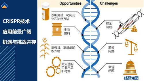 既然欧美国家在芯片领域打压我们,那我们就在别的领域领先他们