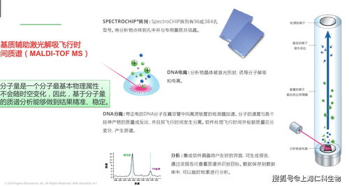 用质谱技术进行基因分型,agena做到了