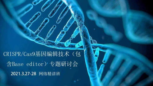 crispr cas9基因编辑技术 包含base editor 专题研讨会 3.27 28 网络精讲班