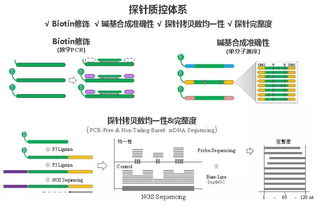 深度丨中国首创高通量核酸合成技术,这家公司将重塑国产基因芯片合成领域新格局