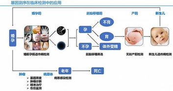 抢占第三代基因测序技术,霸主iiiumina重金收购竞争对手