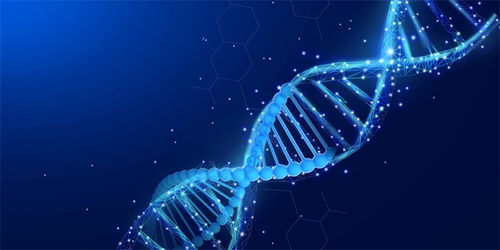 神之手 基因编辑技术将癌细胞变为健康细胞