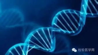 当前基因科技的十大方向与我国分子诊断存在的5大问题