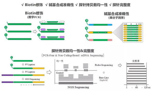 原创性技术平台创造价值,基因芯片中国制造