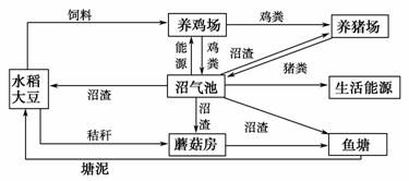 研究性学习小组参观某市市郊建立的以沼气为中心.以保护生态环境为 目标的 猪 沼 鱼 肥 果蔬 生态模式时绘出了如下模式图.请分析回答 1 构建以沼气为中心的
