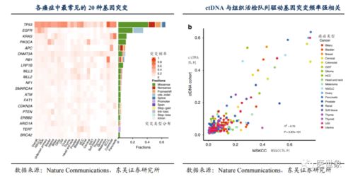 ctdna 甲基化测序 最具潜力的液体活检技术路径