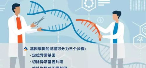为什么美国要投放7.5亿只转基因蚊子 背后的影响,值得警惕