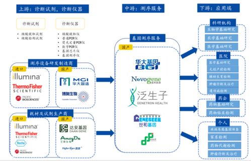 基因测序 一个比肩新能源的新故事